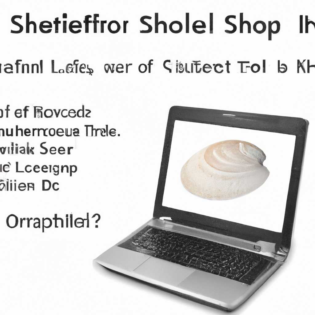 Что такое Eshell в описании ноутбука: полезная информация для покупателей