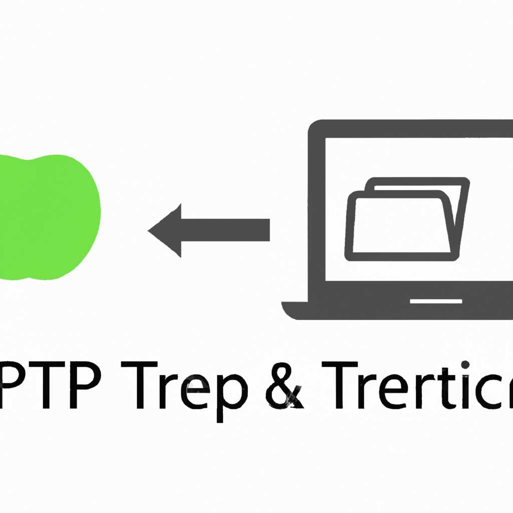 FTP на Mac: подключение через Finder и бесплатные FTP-клиенты