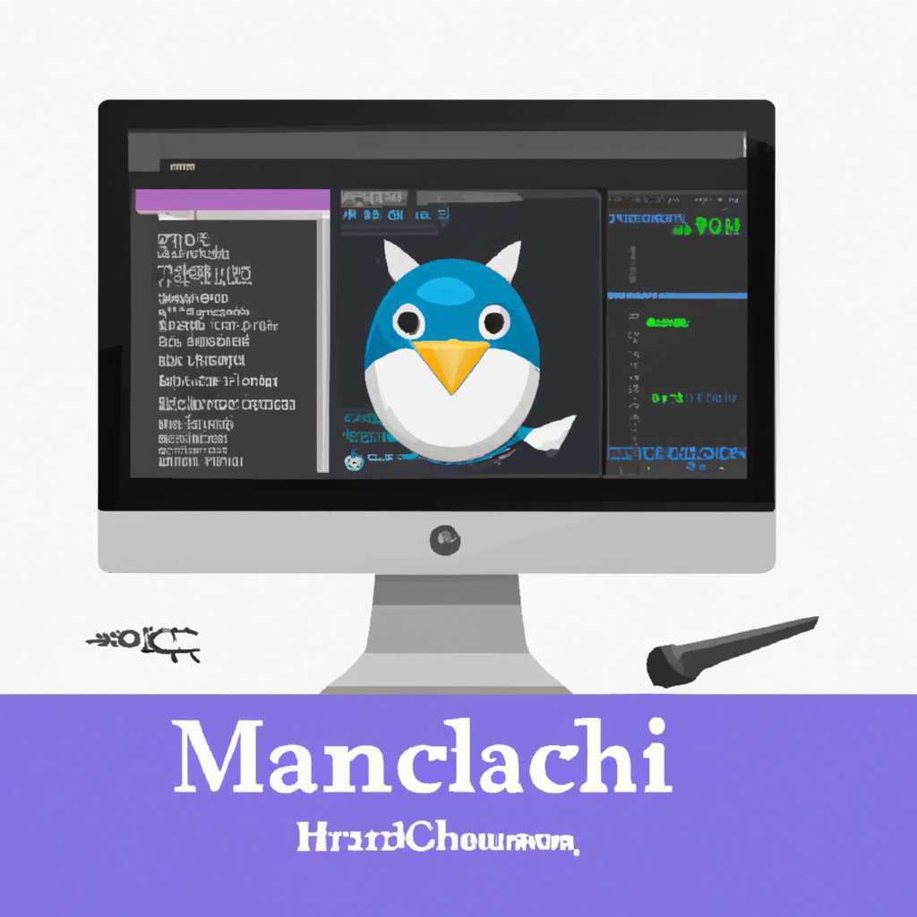 Особенности использования Hamachi на Mac OS