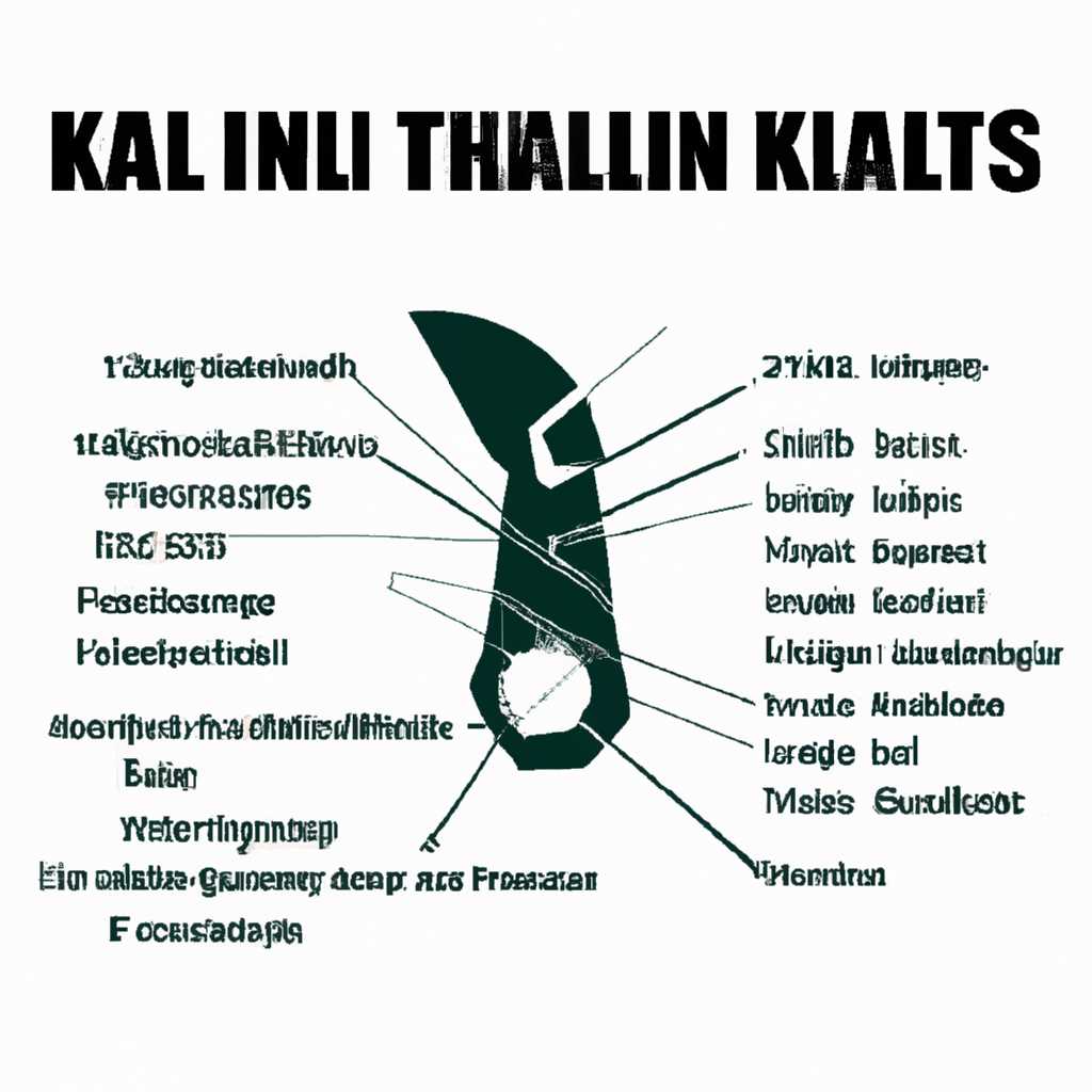 Инструменты Kali Linux: все необходимые инструменты и их возможности