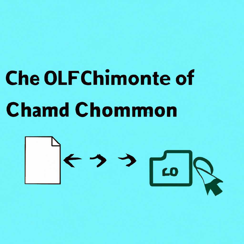 Как использовать команду Chmod в Linux для задания прав доступа к файлам