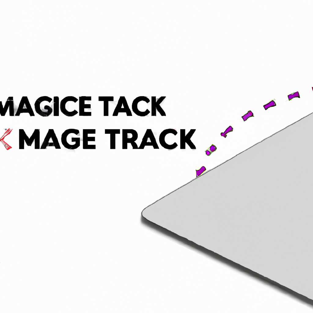 Как использовать Magic Trackpad в Windows: важные правила и советы