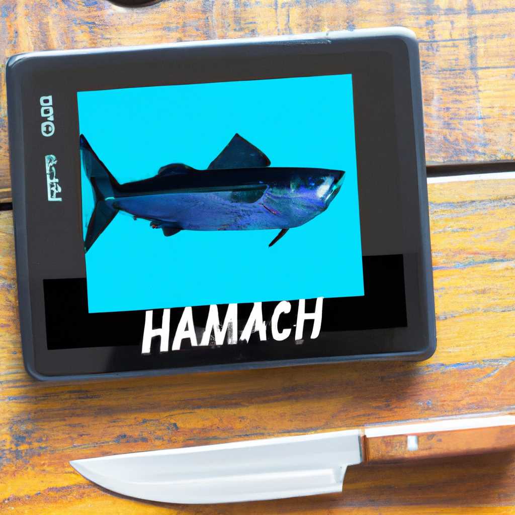 Как настроить Hamachi на Windows 10 и 8: подробная инструкция с фото