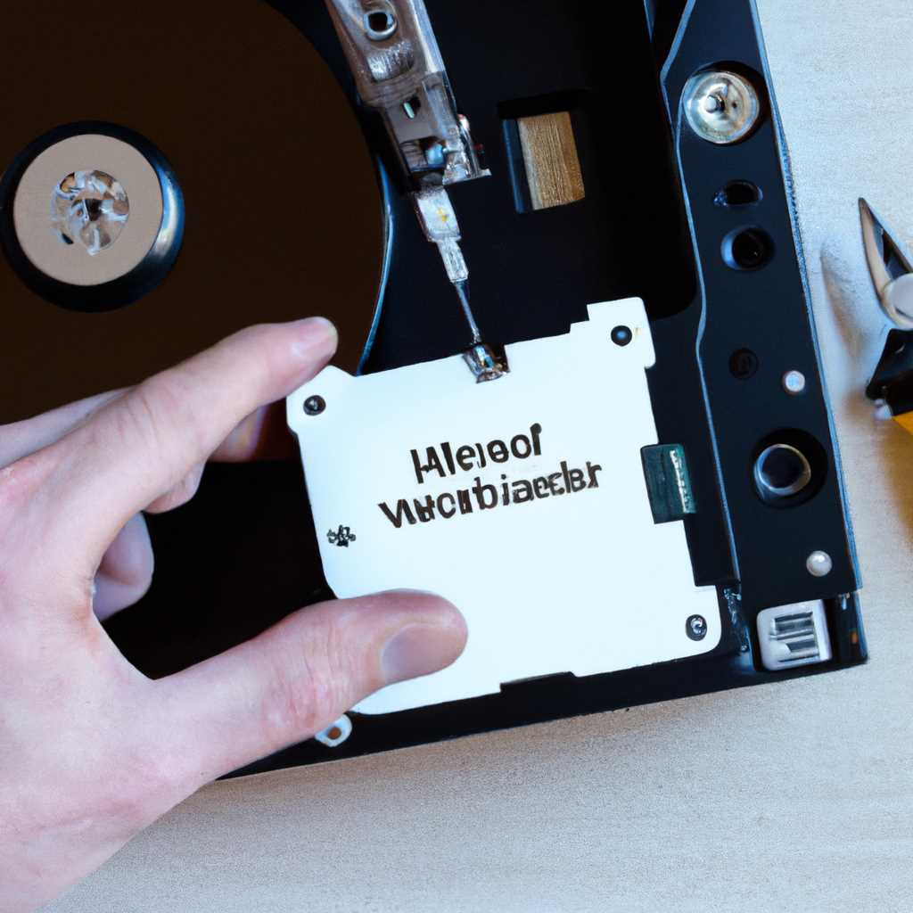 Как правильно загрузить драйверы для жесткого диска Western Digital: пошаговая инструкция