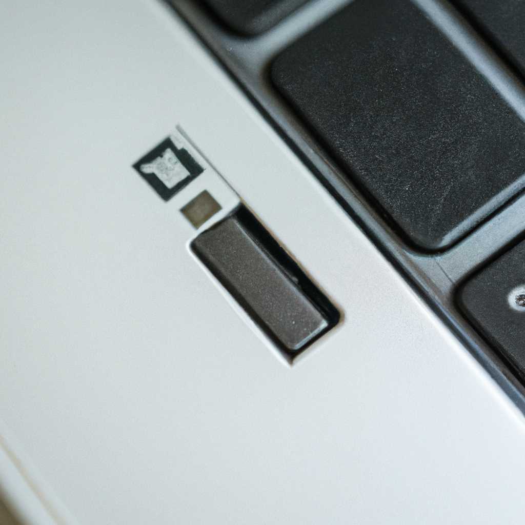 Как включить USB порты на ноутбуке: подробная инструкция