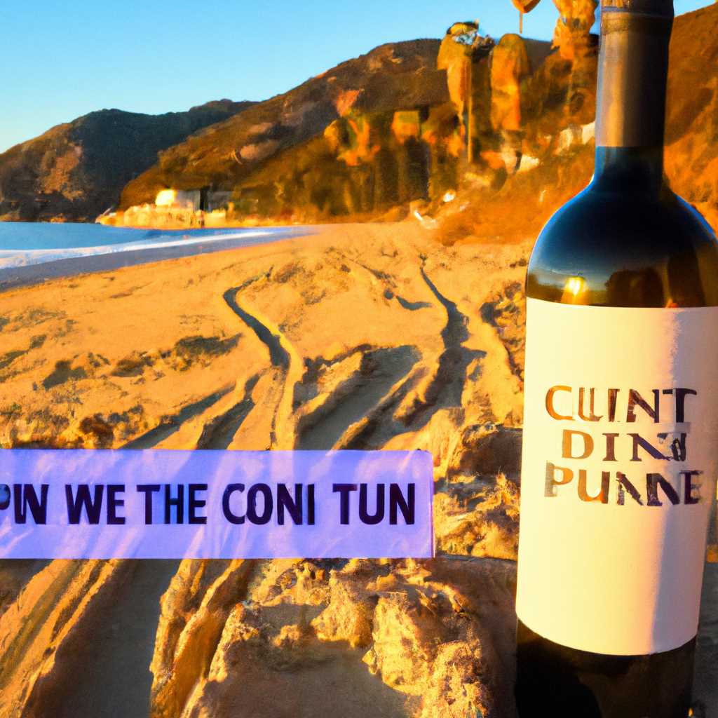 Как запустить Wine на Catalina: идеальное решение