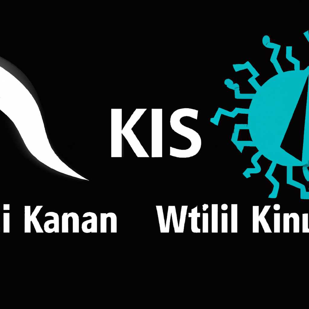 Kali Linux: лучше использовать виртуальную машину или в качестве основной операционной системы?