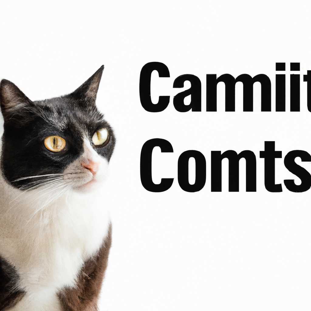 Команда Cat в Linux: основные команды и возможности