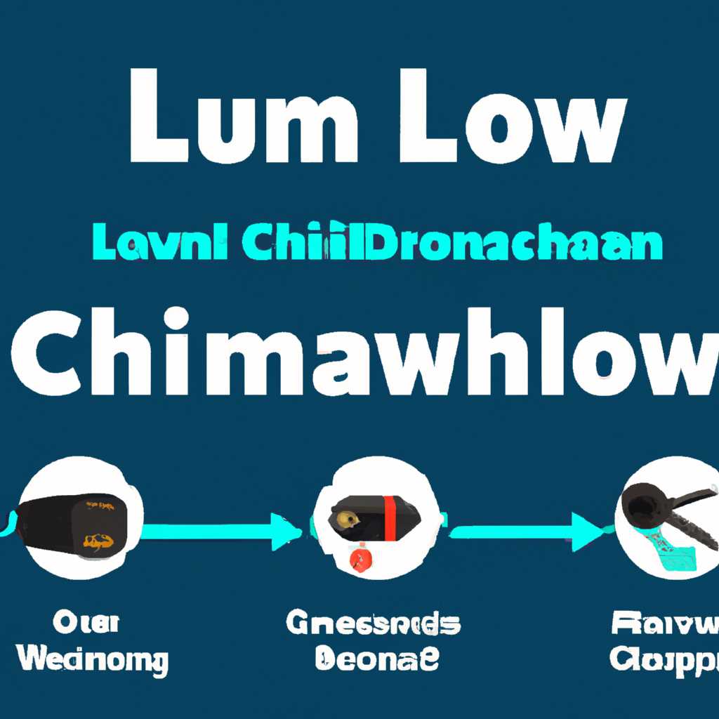 Команда Chown в Linux: инструкция и примеры использования