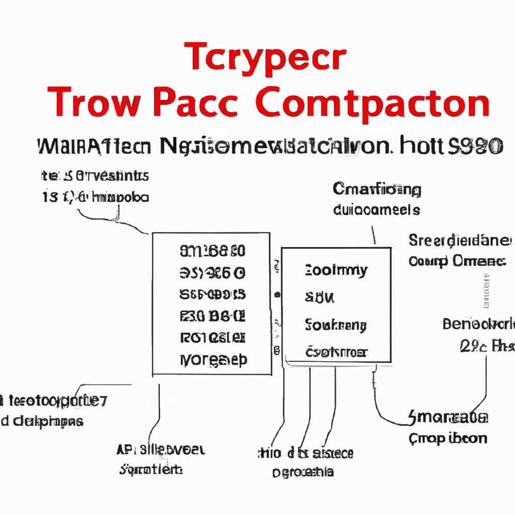 Максимальное количество TCP/IP-соединений в Windows Server 2008: ответы на вопросы по настройке