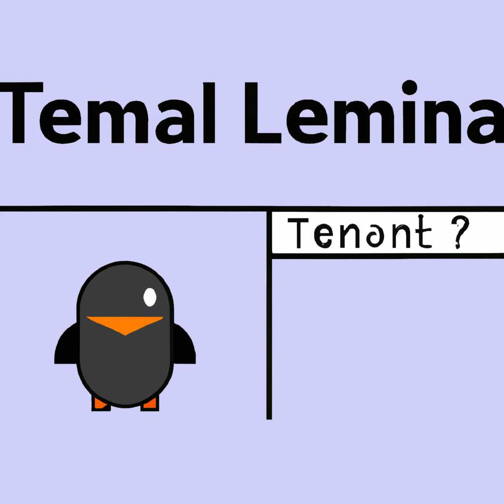Основные способы запуска «Терминала» в Linux: полезные команды и советы