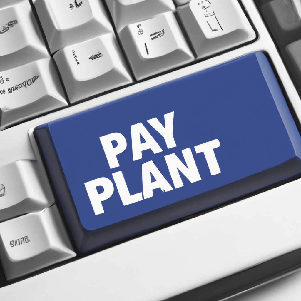 Paynet на компьютер: подробный гайд для установки и использования