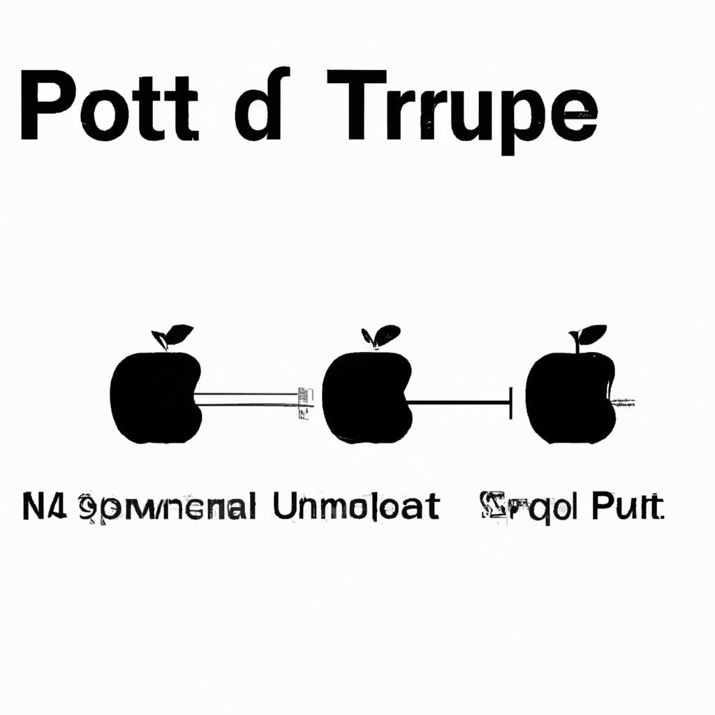 Порты TCP и UDP, которые используют программные продукты Apple: подробный обзор