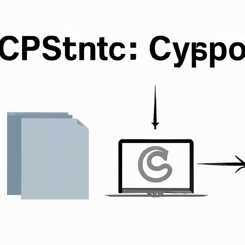 Работа с КриптоПро CSP в MacOS: основные принципы и рекомендации