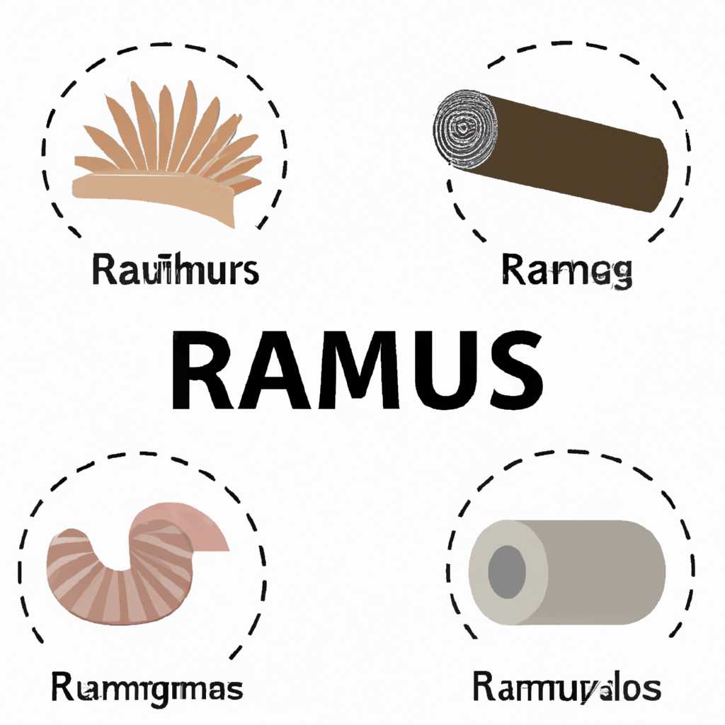 Ramus: описание, возможности, преимущества и применение