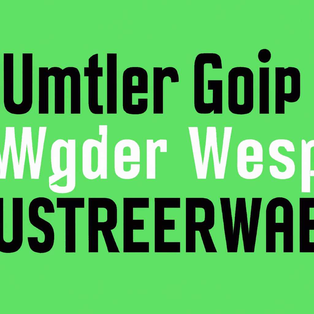 Первые шаги с приложением WM Converter: основные функции