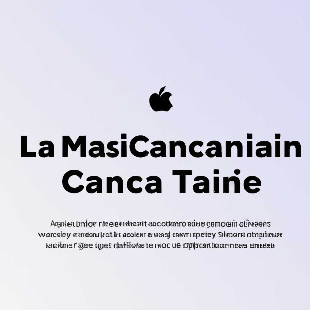 Transmission для Mac OS Catalina: обзор и инструкции по установке