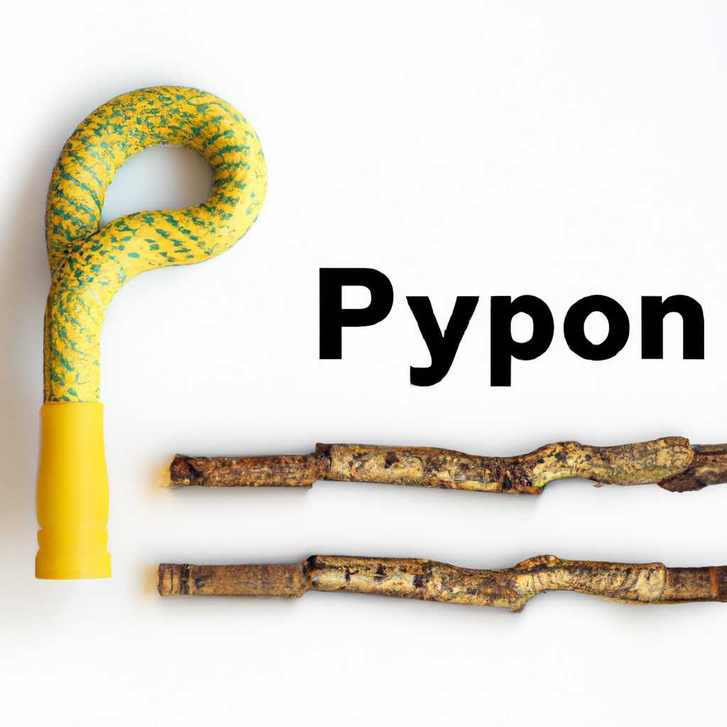 Установка PIP для Python: пошаговое руководство и базовые команды