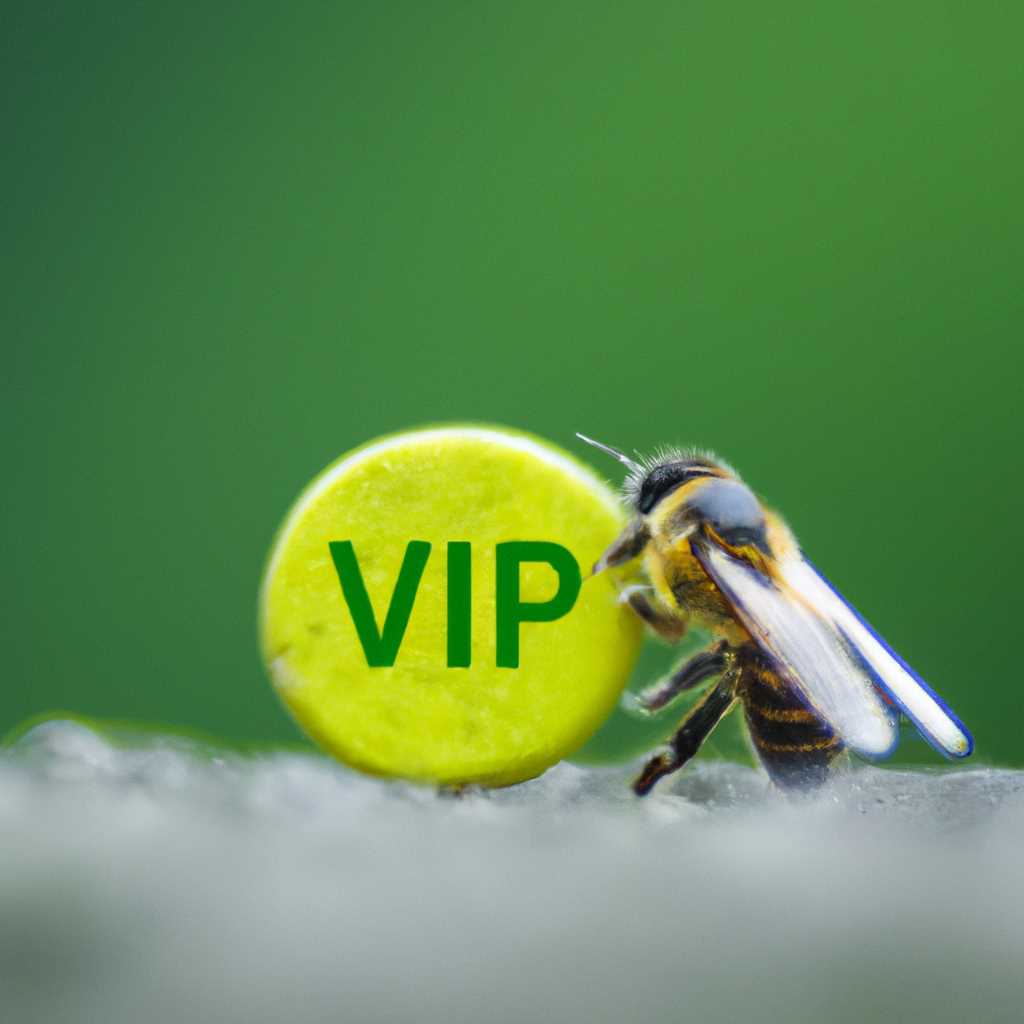Wiki по СКЗИ ViPNet: полезные сведения и руководства