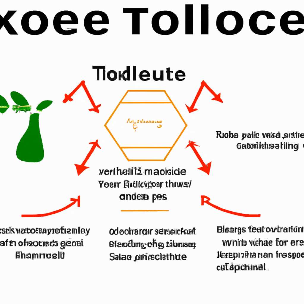 Как работает Xtoolexe?