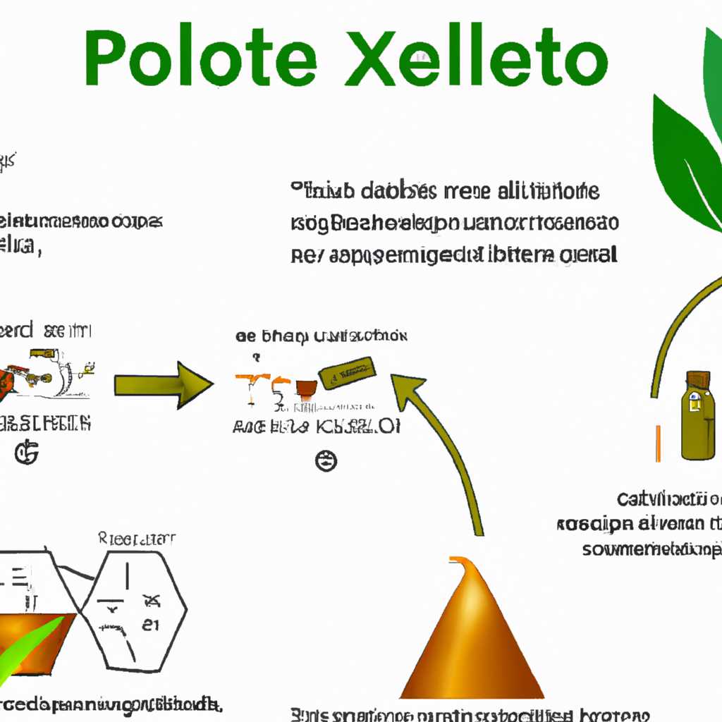 Xtoolexe: объяснение процесса и его назначение